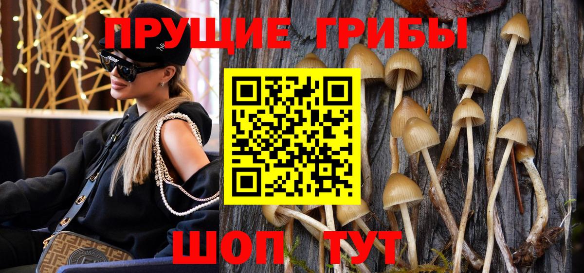 Псилоцибиновые грибы Psilocybine cubensis Тихорецк