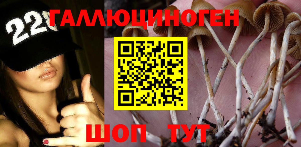 Галлюциногенные грибы Cubensis  Вход с VPN  Псилоцибиновые грибы Psilocybine cubensis  Тихорецк 
